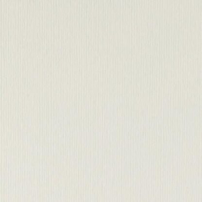 Cardstock 12"x12" Nejlika-vit